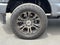 2021 Ford Super Duty F-250 SRW Platinum