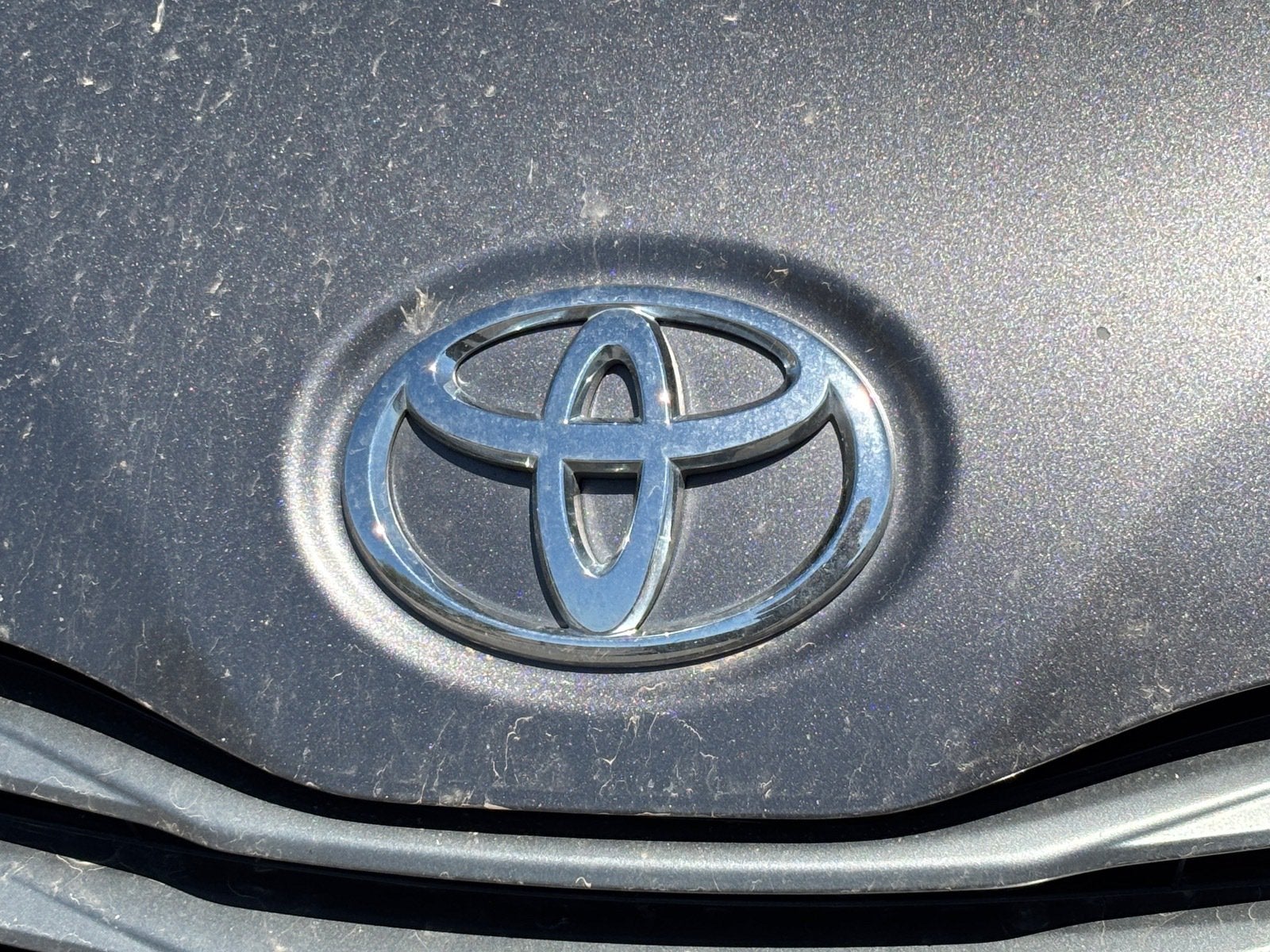 2014 Toyota Sienna XLE