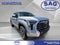 2024 Toyota Tundra 4WD Limited