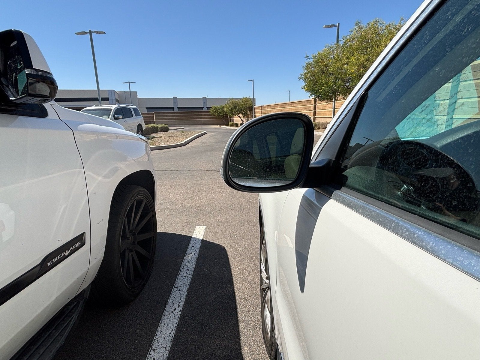 2012 Volkswagen Tiguan LE